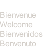 Willkommen Bienvenue Welcome Bienvenidos Benvenuto